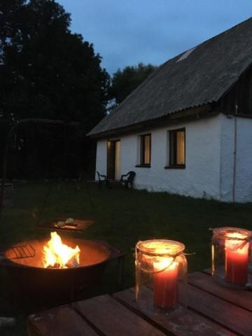 Domek Blisko Biebrzy Radzilow Exteriör bild