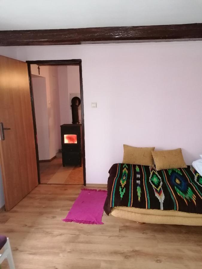 Domek Blisko Biebrzy Radzilow Exteriör bild